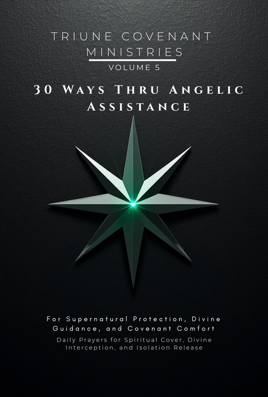 Volume 05 - 30 Ways Thru Angelic Assistance: For Supernatural Protection, Divine Guidance, and Covenant Comfort