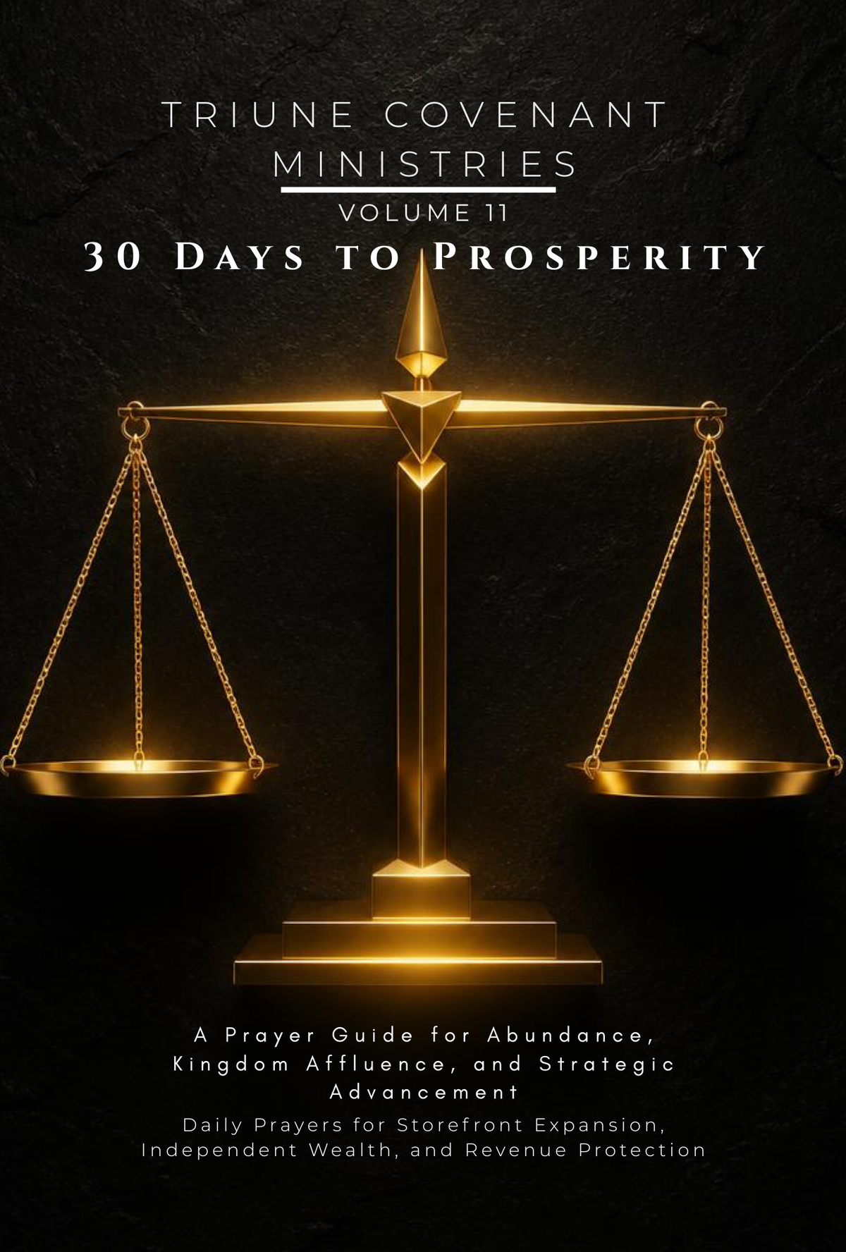 Volume 11 - 30 Days to Prosperity: A Prayer Guide for Abundance, Kingdom Affluence, and Strategic Advancement